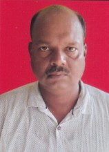 Org Officer Photo